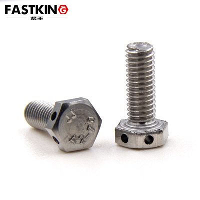 Hexagon Bolts with Wire Holes On Head